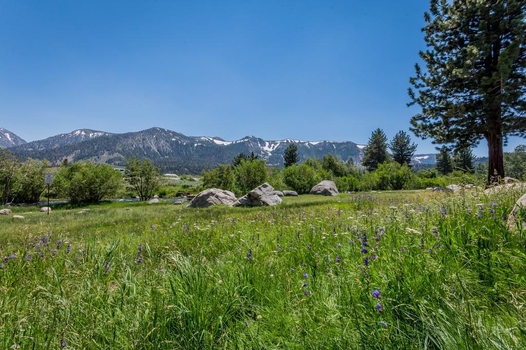 Mammoth Creek Condos Mammoth Lakes Zewnętrze zdjęcie